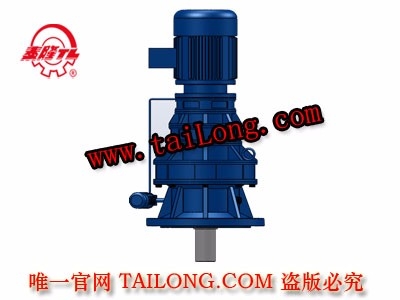 BLSD 立式三級專用電機直聯型擺線針輪減速器（機）