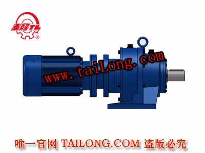 BHWED 臥式雙級(jí)專用電機(jī)直聯(lián)型化工部擺線針輪減速器（機(jī)）