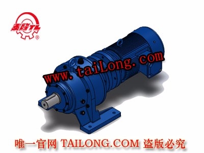 BHWED 臥式雙級(jí)專用電機(jī)直聯(lián)型化工部擺線針輪減速器（機(jī)）