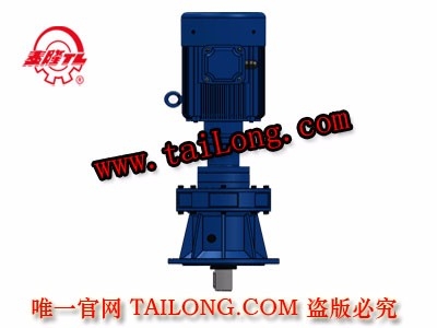 BHLED 立式雙級專用電機直聯型化工部擺線針輪減速器（機）