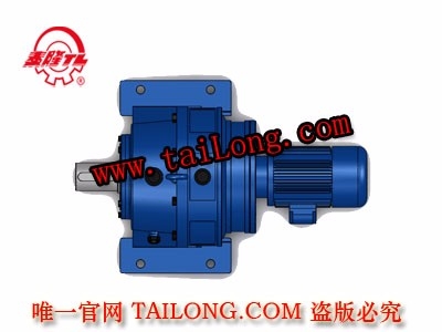 TBWEY 新型臥式雙級(jí)普通電機(jī)直聯(lián)型擺線針輪減速器（機(jī)）