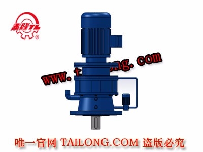 TBLD 新型立式單級專用電機直聯型擺線針輪減速器（機）