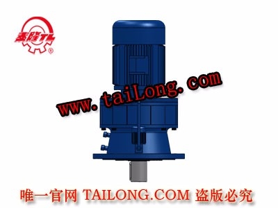 TBLY 新型立式單級普通電機(jī)直聯(lián)型擺線針輪減速器（機(jī)）